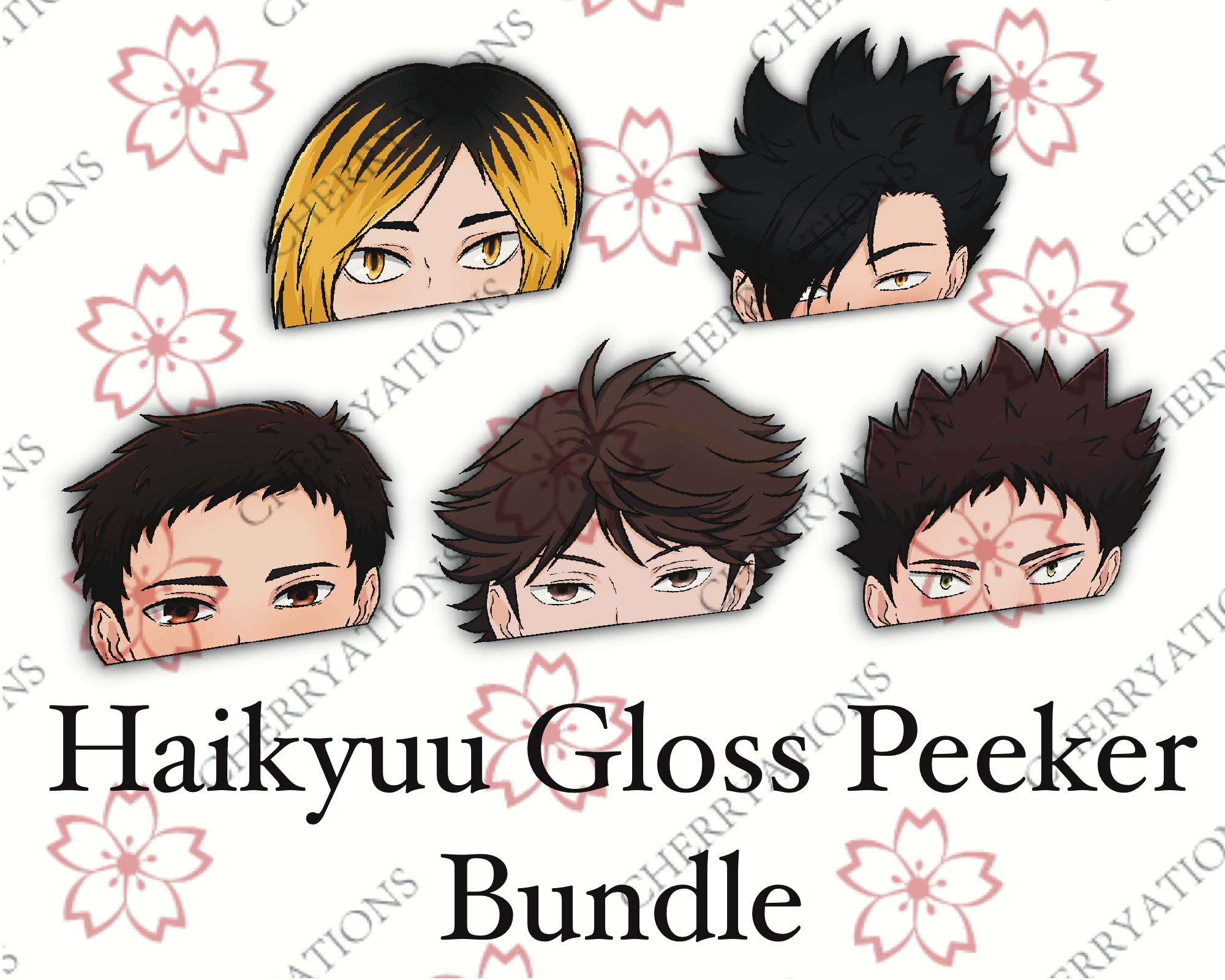 Haikyuu on sale bundle