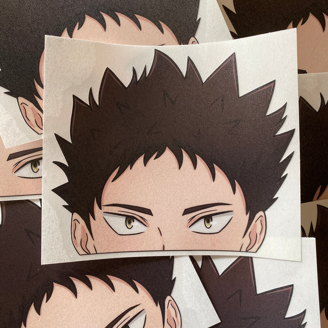 Iwaizumi Gloss Peeker